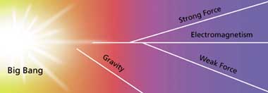 unification of forces