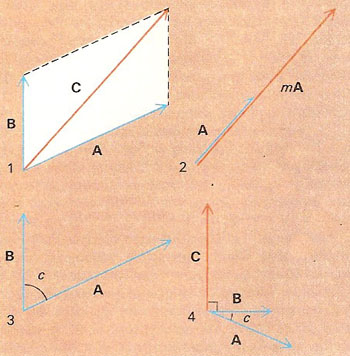 vector algebra