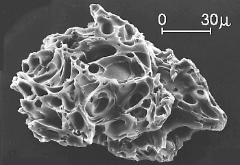 volcanic ash micrograph
