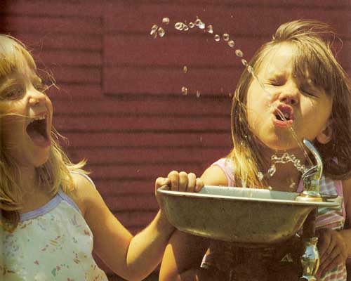 drinking water from a fountain