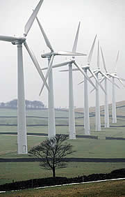 wind farm