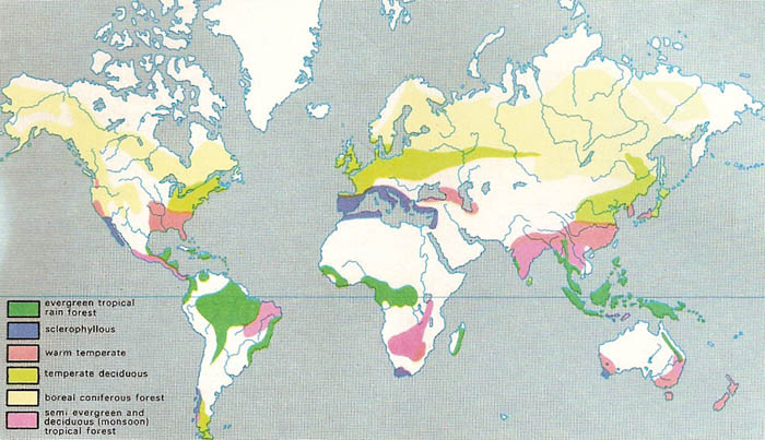 forest zones of the Earth