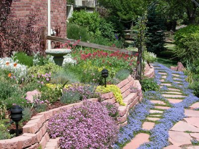 xeriscaping