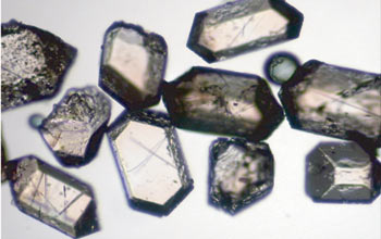 zircon crystals