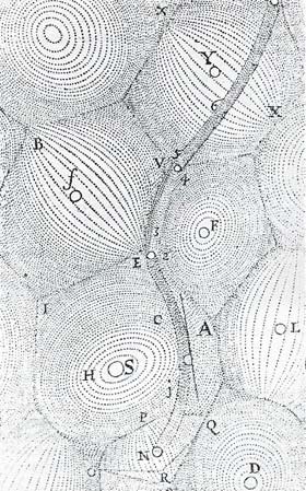 Descartes's idea of the universe rejected the theory of the existence of a vacuum and held that matter was perpetually moving in vortices with stars at their centers. Some stars became planets with orbits on the vortex of another star. Comets wound their way between and across vortices, as in this engraving.