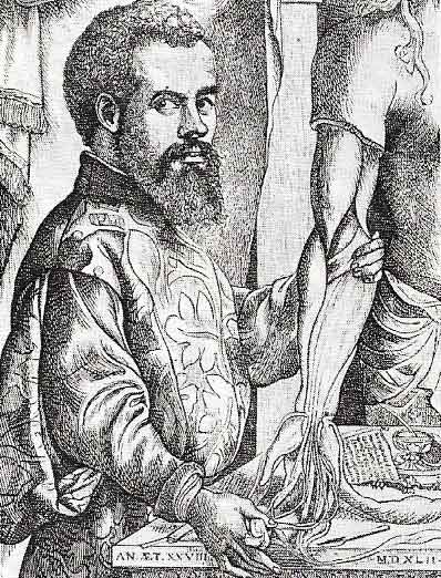 Vesalius, the great 16th-century anatomist, is shown holding a partly dissected human arm. The portrait is taken from his book De Humani Corporis Fabrica.