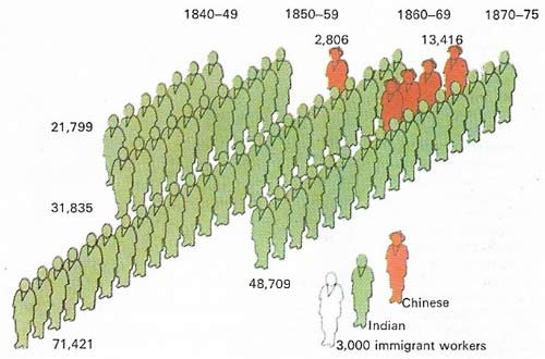 Immigrants came from a variety of places to take up jobs in the West Indies after the abolition of slavery led to a shortage of labor.