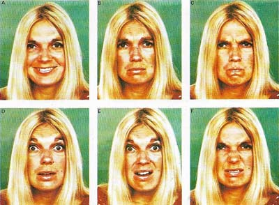 Facial expressions in both humans and apes show many similarities.