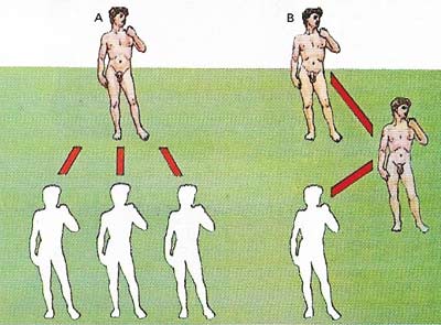 Aristotle's Third Man argument