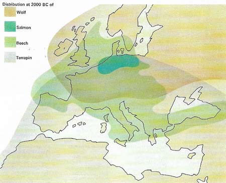 Language detective work by scholars and scientists has led to the theory that an area of northern Europe was the place of origin for all the languages of the vast Indo-European group.