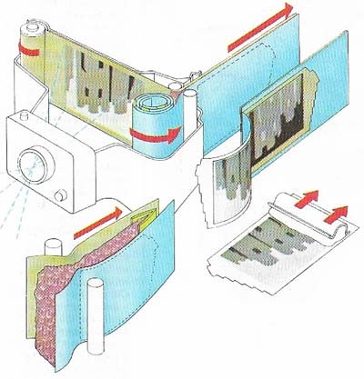 Polaroid cameras take composite 'film and paper' packs which incorporate the necessary processing chemicals.