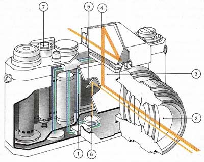 When the shutter (1) is released light reflected from a scene is focused on to film. Before the photo is taken, light entering the lens (2) is split along two paths. Most is reflected upwards from a mirror (3) into a view-finder (4). A little is either reflected downwards from a smaller mirror (5) into the photoelectric cell of an exposure meter (6), or directed to a cell in the base of the view-finder. The release (7) opens the shutter.