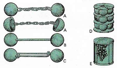 Types of disabling shot included chain (A), bar (B), elongating (C), grape (D), and canister (E).