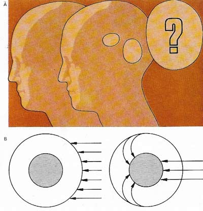 From his own immediate consciousness Descartes then proceeded to contend that he was just an immaterial object of consciousness and to discover how such a being knew what was going on around him.