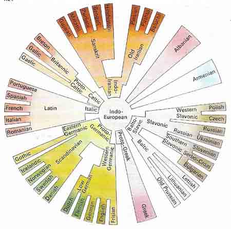 Connections between different languages.