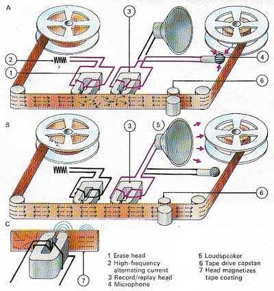 In recording on magnetic tape (A), the tape first passes an erase head which leaves the magnetic particles on the tape in random disarray. Then the record/replay head, energized by a microphone signal, orientates the particles according to the signal's waveform. In playing back (B), the tape again passes the record/replay head. Magnetic variations reproduce in it the currents that formed them (C).