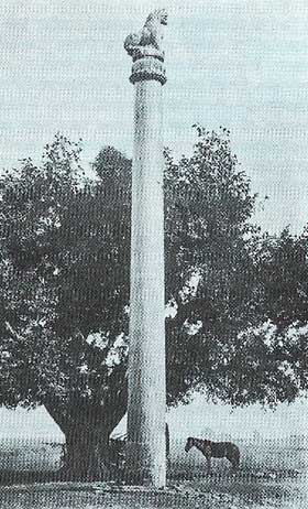 One of the Pillars of Ashoka, in Vaishali