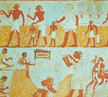 The economy of Egypt was agrarian, most of the people working on the land. In theory all land was held by the crown but in practice large estates were also held by the official classes and the temples. A limited number of peasant proprietors also owned tracts of agricultural land.