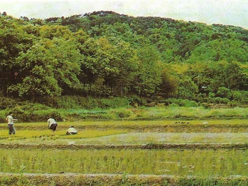 The floodplains of the Huang Ho (seen here) and Yangtze rivers provided a natural center for the growth of Chinese civilization.