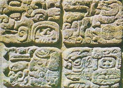 Mayan writing has more than 800 hieroglyphs, few of which have been translated although the Mayan calendar is understood. This is part of an inscription on one of the stelae at Quirigua, Guatamala.