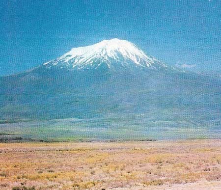 Mount Ararat, on which, according to the book of Genesis, Noah's Ark came to rest after the Flood, appears also in Sumerian tradition.