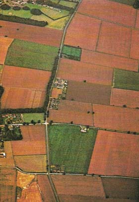 Modern farming is growing increasingly specialized. The flat, fertile silts of South Lincolnshire, for example, seen here from the air, carry no livestock.