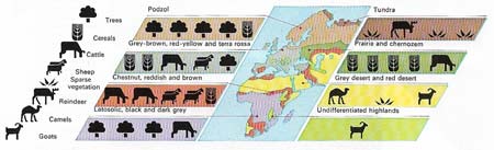 Climate exerts the strongest influence on the nature of soil on which plant and animal life depends, and this, in turn, determines which species will flourish best in its particular area.