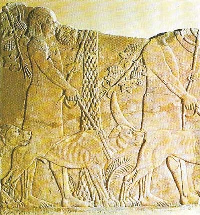 Servants exercise hunting dogs in the royal park in this relief from the north palace of Ashurbanipal II at Nineveh.