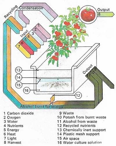 Hydroponics is the science of making substitutes for soil and has been successful in growing plants in totally soilless conditions. In hydroponic agriculture all a plant's needs, including oxygen, light, water, mineral salts, and other nutrients, are artificially provided within the protected and temperature-controlled environments of a greenhouse. There plants are freed from competition with weeds, and damage by insect pests and viruses is reduced.