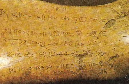 Oracle bones, usually made from the shoulder blades of oxen or the carapaces of tortoises, were used for divination.
