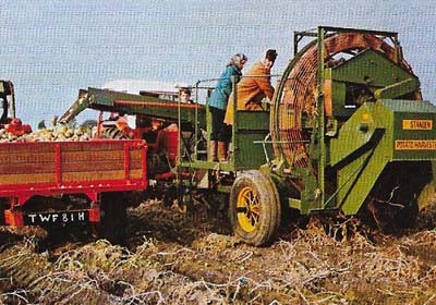 Potatoes can be harvested mechanically or by hand. Hand picking of early crops continues when mechanical lifting is stopped by bad weather, so allowing the crop to reach the market when the price for early new potatoes is high.