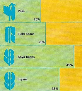 Most pulses contain protein in relatively large amounts.