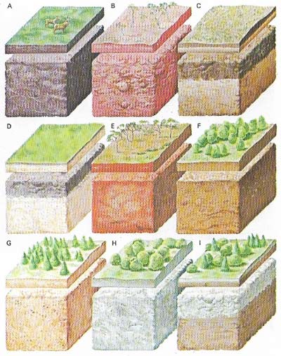 The composition and color of a soil identifies it to a pedologist.