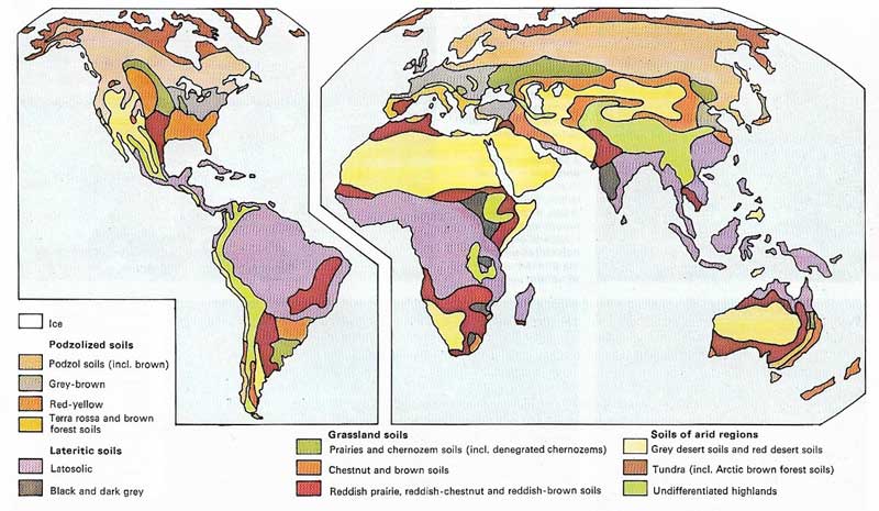 Soil groups can be correlated with the various climatic and vegetational zones of the earth.