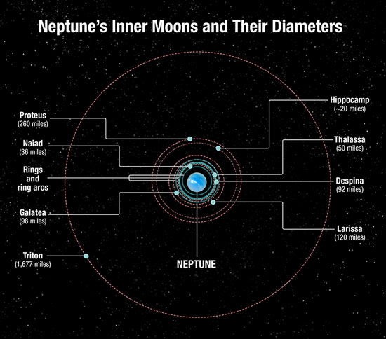 Neptune's moons