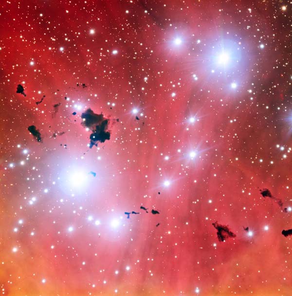 The Thackeray globules silhouetted against the pale pink glowing gas of the nebula IC 2944