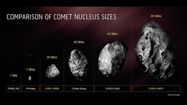 The size of the nuclei of comets varies widely