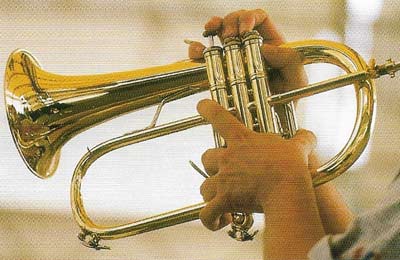 The flugelhorn uses piston valves to produce the different pitches required.