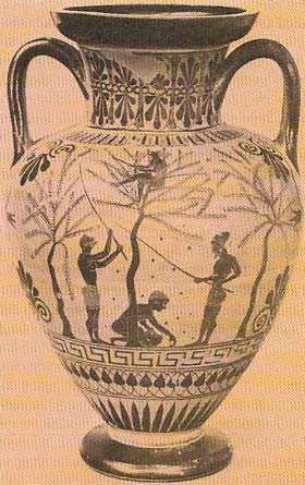Greek agriculture, represented by the olive harvest shown on this 6th-century BC amphora, was always faced with the difficulty of providing sufficient food from the relatively small area of fertile land.