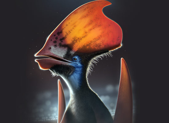 The head of a Tupandactylus imperator, with brightly colored feathers, based on the results of a 2022 study.