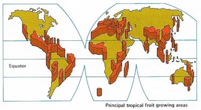 Tropical plantations producing exotic fruits for the world market are found in the inter-tropical zone stretching between the Tropic of Cancer and the Tropic of Capricorn
