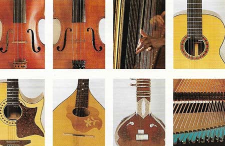 mitología relajado impuesto strings of musical instruments