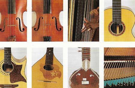 Struck shop string instruments