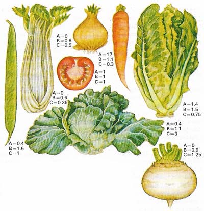 Vegetables are the major source of vitamins. For instance 100 g (4 oz) of tomatoes contain 117 micrograms of vitamin A, 0.10 mg of vitamin B (thiamie and riboflavin) and 20 mg of vitamin C. These quantities are used here as comparison units for vitamins found in an equal weight of other vegetables.