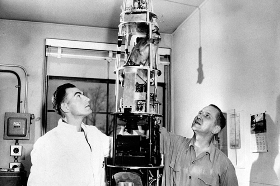 School of Aerospace Medicine engineers outfit 'Sam' the monkey with health monitoring equipment, 1959