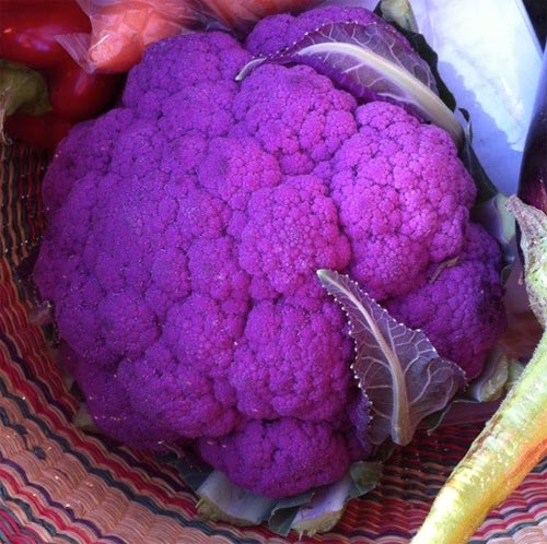 Purple cauliflower contains anthocyanins.