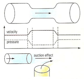 Bernoulli's law