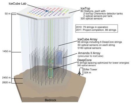 IceCube array