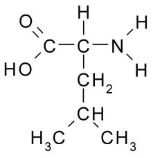 L-leucine