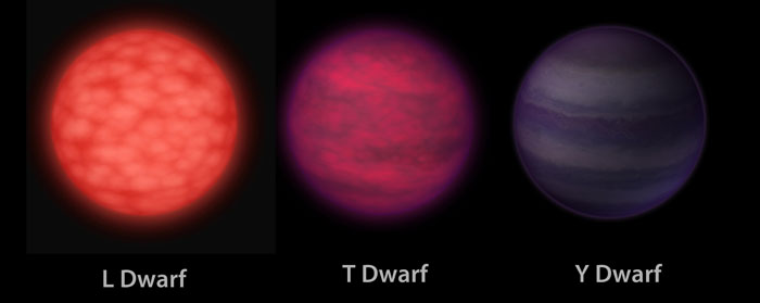 L, T, and Y dwarfs compareds